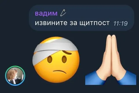 Извините за щитпост