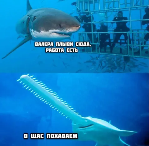 Валера плыви сюда