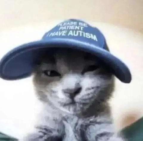 Cat With Autism Hat