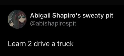 Learn 2 Drive a Truck