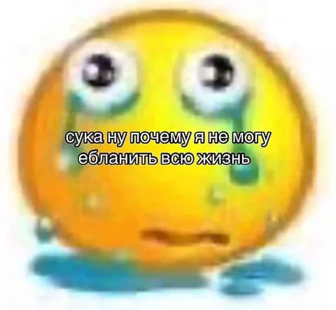 Не могу ебланить всю жизнь