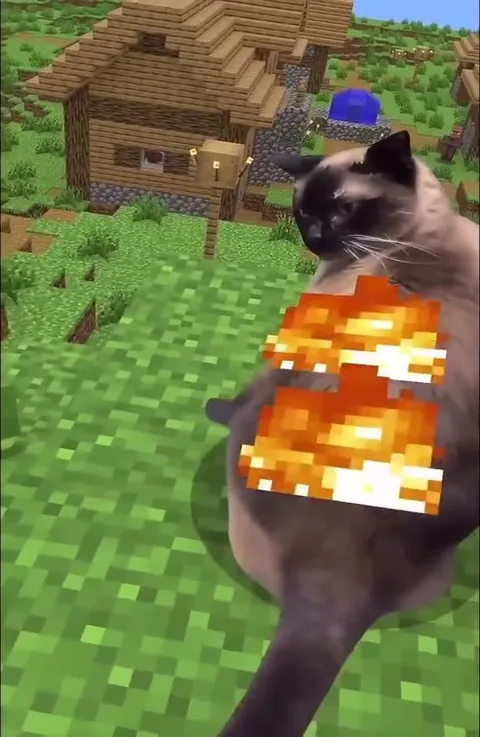 Cat Is On Fire in Minecraft
