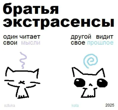 Братья экстрасенсы читают мысли