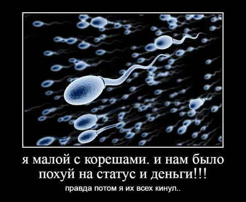 Малой с корешами