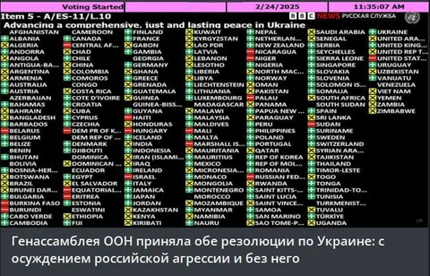 ООН приняла обе резолюции