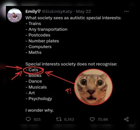 Society Does Not Recognise Cats