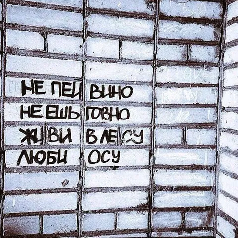 Не пей вино, живи в лесу
