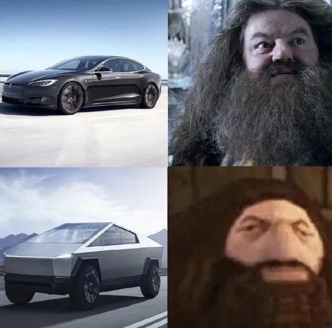 Тесла и Хагрид
