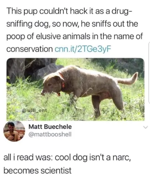 Cool Dog Becomes Scientist