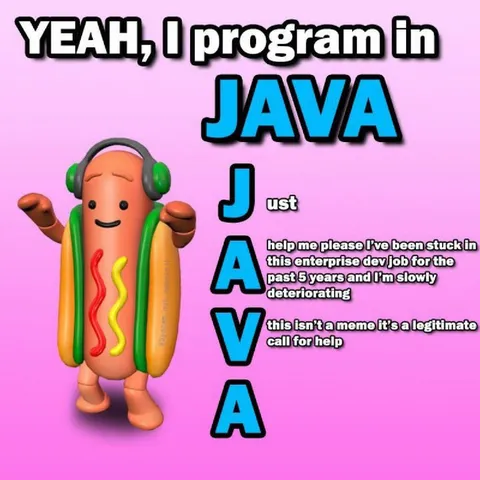 Java Developer Needs Help