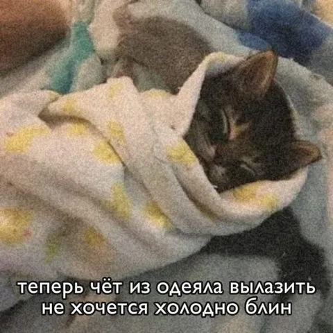 Из одеяла вылазить не хочется