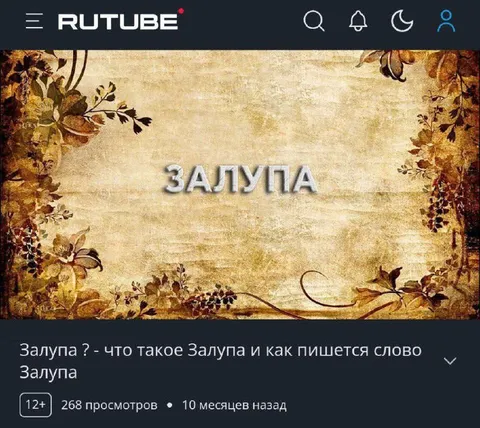 Рутуб итоги: залупа