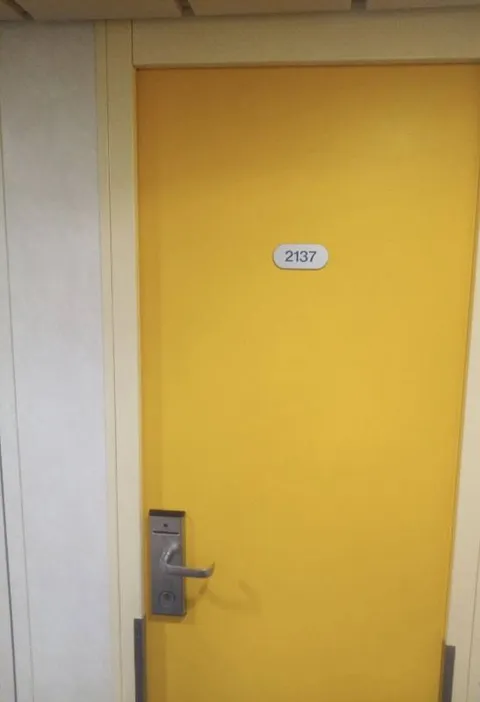 Таинственная дверь 2137