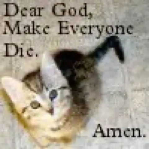 Cat Prays for Everyone to Die