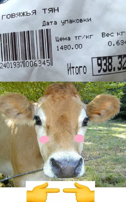 Корова на ценнике мяса