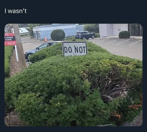 I Wasn't Told Not To