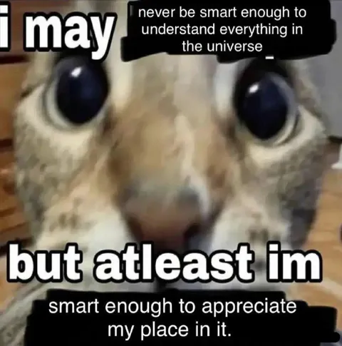 Smart Enough to Appreciate My Place