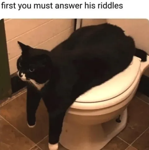 Cat Riddle Guardian