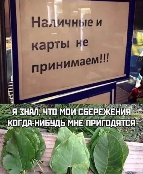 Сбережения в листьях
