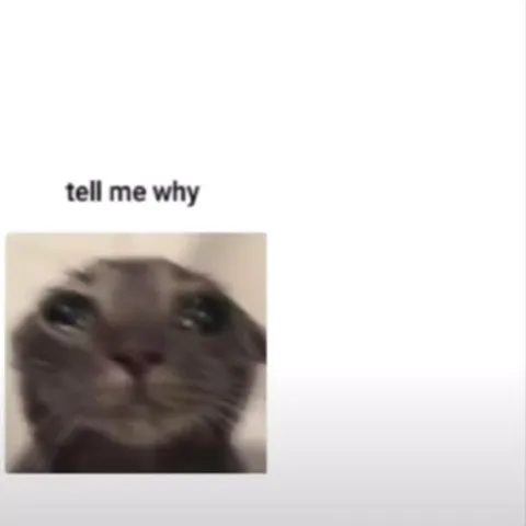 Cold Hands Cat Threat
