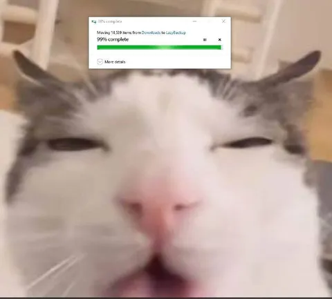 99% Complete Cat