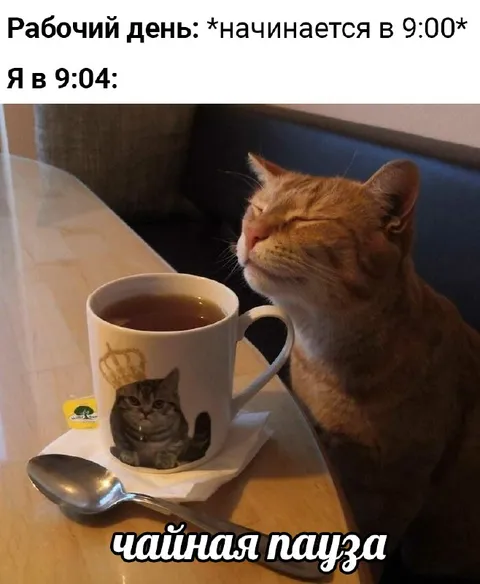 Чайная пауза в 9:04
