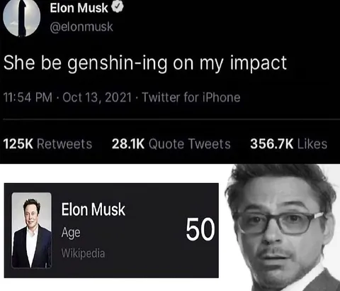 Elon Musk Genshin Impact Joke