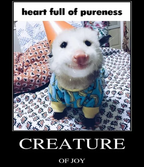 Heart Full of Pureness Creature