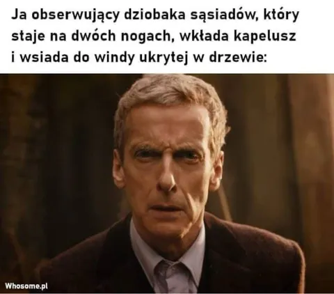 Dziobak w windzie ukrytej w drzewie