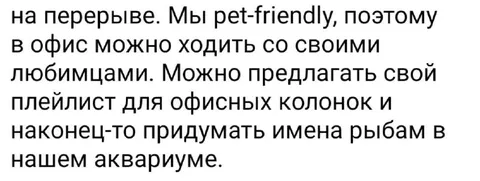 Идеальный pet-friendly офис