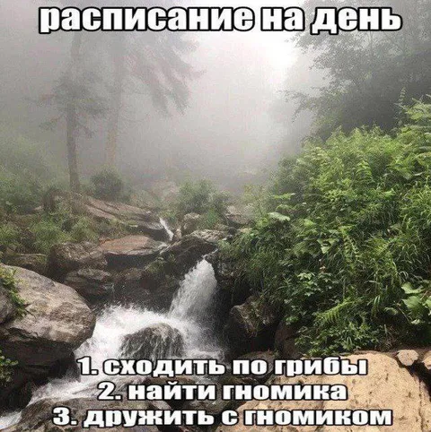 Расписание на день с гномиком
