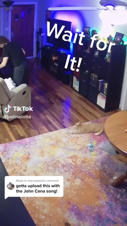Wait for It: John Cena Cat