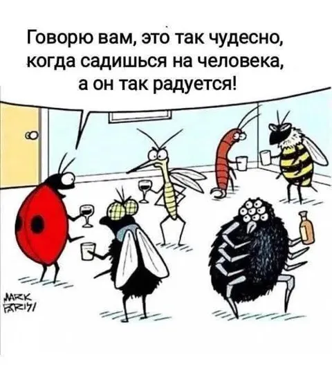 Когда садишься на человека