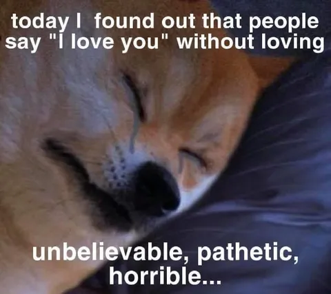People Say I Love You Without Love