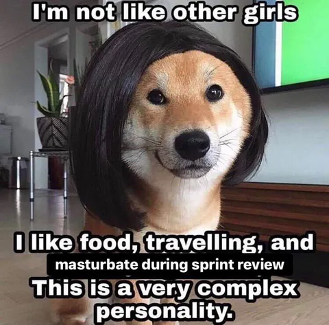 I'm Not Like Other Girls Dog