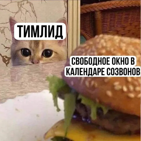Тимлид и свободное окно