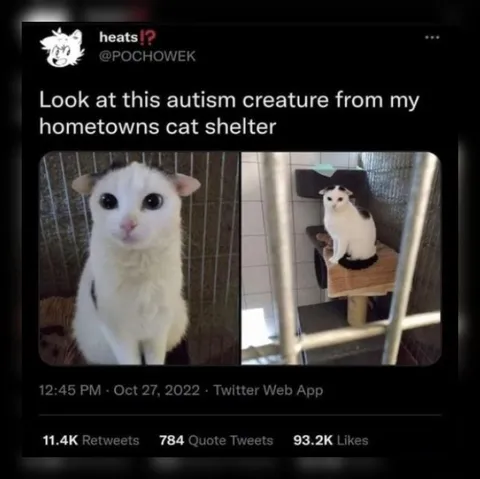 Autism Creature Cat Shelter