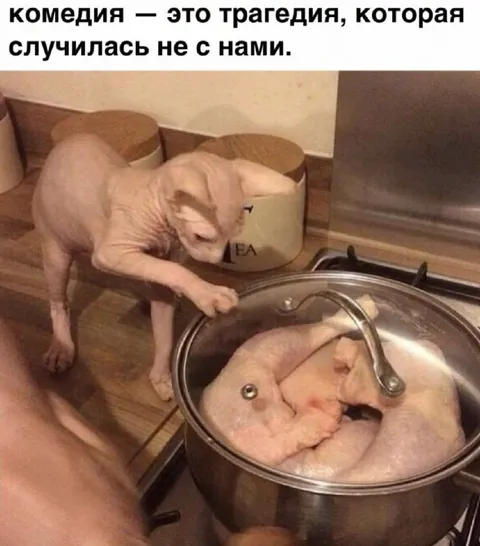 Комедия — это чужая трагедия