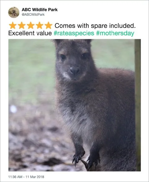 Comes With Spare Included