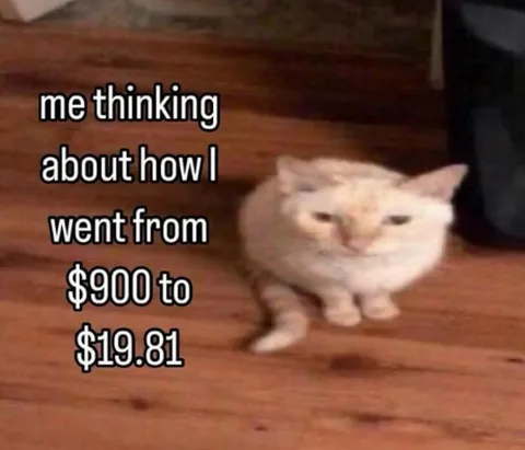 Cat Watching Its Money Disappear