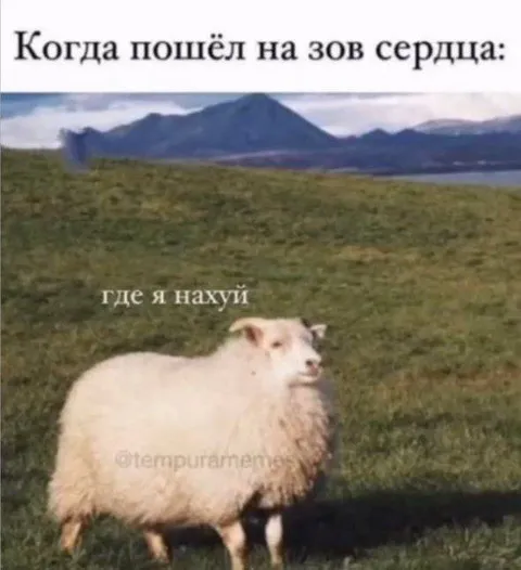 Зов сердца привёл не туда