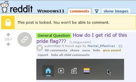 How Do I Get Rid of This Pride Flag