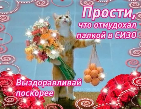 Кот с букетом в СИЗО