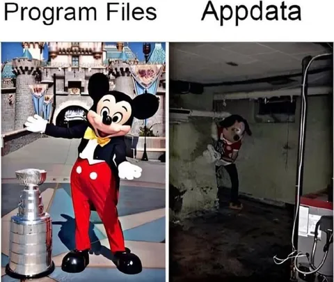 Mickey Mouse in AppData