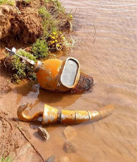 Странная находка в воде
