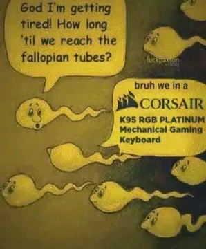 Sperm Racing to the Keyboard