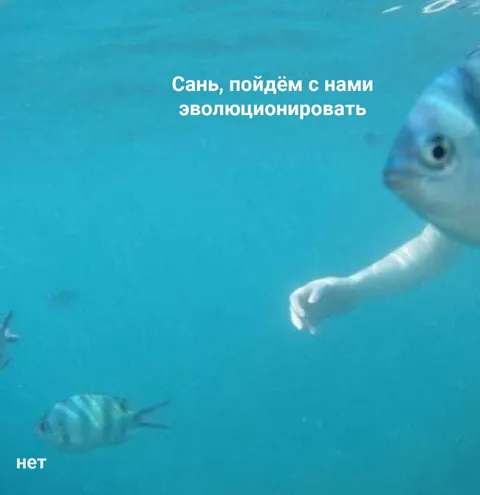 Сань, пойдём эволюционировать
