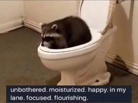 Unbothered Moisturized Happy Raccoon