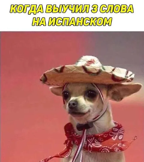 Выучил слово на испанском