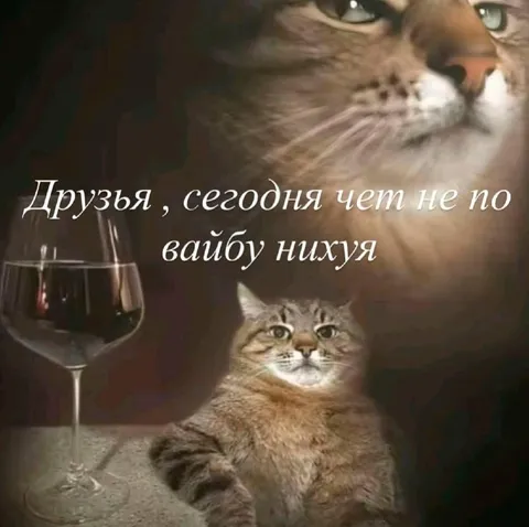 Сегодня не по вайбу
